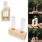 Planter Propagation Glass Plant Terrarium with Wooden Stand for Plants Home