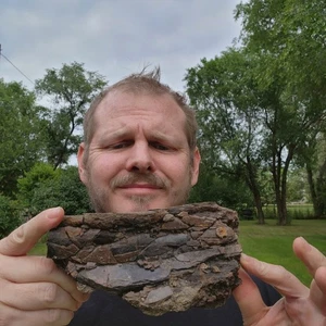 Gorgeous Dinosaur Bone Partial With Black Patina Hell Creek Formation Cretaceous - Picture 1 of 10