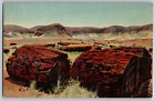 Petrified Forest, Az Arizona - Agatized Logs - Vintage Postcard - Unposted