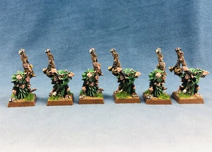 Warhammer Fantasy WGS bemalte Skaven Pest Zenser Träger SK068 - Bild 1 von 8