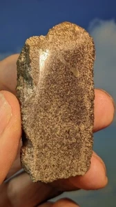 Jurassic Pliosaurus Bone. Abingdon UK. Polished. 55 x 28mm. As Shown. - Picture 1 of 10