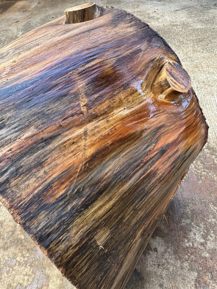 #NIP62SPALTED NORFOLK ISLAND PINE, TORNEAMENTO DE MADEIRA, CANETA EM BRANCO, ESCAMAS, TIGELA - Imagem 1 de 4