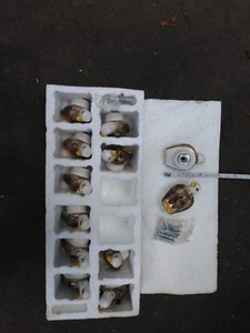 Porzellan American Weißkopfseeadler Tür Schublade Knopf Ziehen 12er Set mit Schrauben - Bild 1 von 1