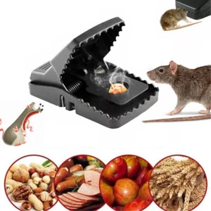 1/3 pieza Reutilizable Súper Grande Resistente Ratón Trampas Cebo para Ratas Ratas Atrapador - Imagen 1 de 7