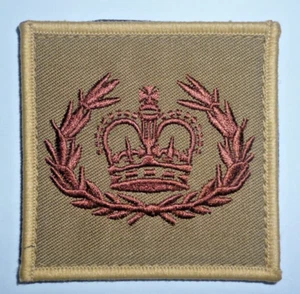 WARRANT OFFICER CLASS 2 RQMS / QMSI HOOK AND LOOPED BACKED RANK PATCH. - Picture 1 of 1