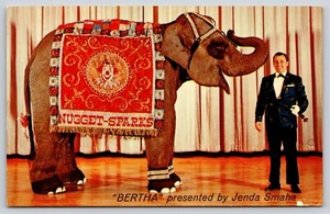Postal Bertha Presentada por Jenda Smaha Elephant Performance Reno Nevada - Imagen 1 de 2