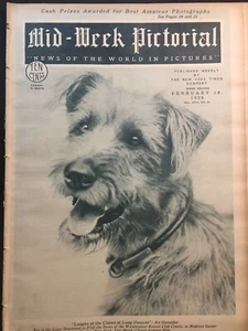Irish American Beauty 1928 Dog Show Reject-Track & Field-Hat Fashion Milliner - Picture 1 of 16