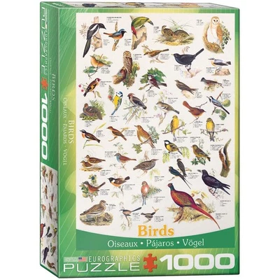 1000piece jigsaw puzzle bird 6000-1259 - Image 1 of 4