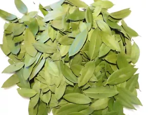 HOJAS DE LAUREL SECAS DE CALIFORNIA COSECHA SILVESTRE 2 ONZAS lote nuevo, secado MARZO 2025 - Imagen 1 de 2