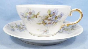 Theodore Haviland Cup & Saucer Schleiger 162 Smooth Blue Flowers Antique - Picture 1 of 7