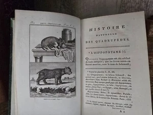 1799 BUFFON - NATURAL HISTORY OF QUADRUPEDS - Hippopotamus, Gazelles, Antelopes - Picture 1 of 24