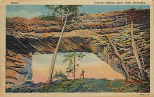 Postal Natural Bridge Kentucky State Park 1952 - Imagen 1 de 2