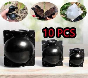 10× Plant Rooting Devices Growing Grafting Box High Pressure Propagation Ball M - Picture 1 of 14