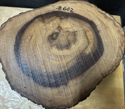 #602 TIGELAS DE MADEIRA HAVAIANAS KOU, ESCULTURA EM MADEIRA, ARTESANATO, CANETAS EM BRANCO, balanças de faca - Imagem 1 de 4