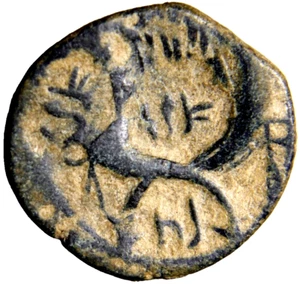 NABATAEA. Petra. Aretas IV with Shaqilat Artistic Error Double Struck on Purpose - Picture 1 of 4