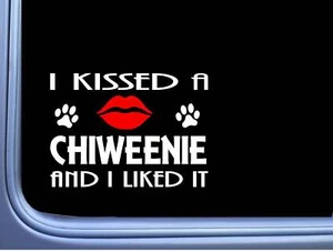 Chiweenie Kissed L936 8" chihuahua dachshund dog window decal sticker - Picture 1 of 1