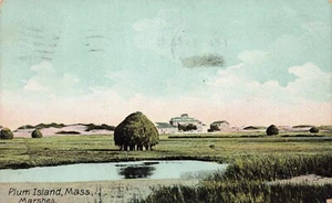 Marshes Plum Island Massachusetts postcard PC 3.6 - Picture 1 of 2