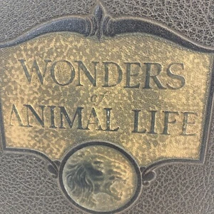 Wonders of Animal Life  by Famous Writers on Natural History Fourth Volume - Picture 1 of 10