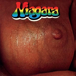 Niagara Niagara - LP 33T - Picture 1 of 3
