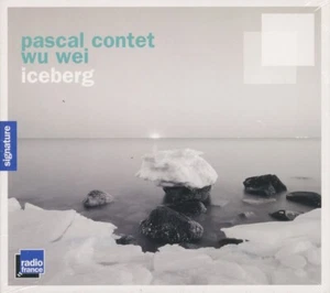 PASCAL CONTET - WU WEI iceberg SHENG & ACCORDEON - Picture 1 of 2