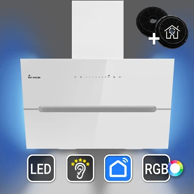 Campana extractora 60 cm recirculación aire de escape sin cabeza campana de pared campana inclinada blanca WLAN - Imagen 1 de 4