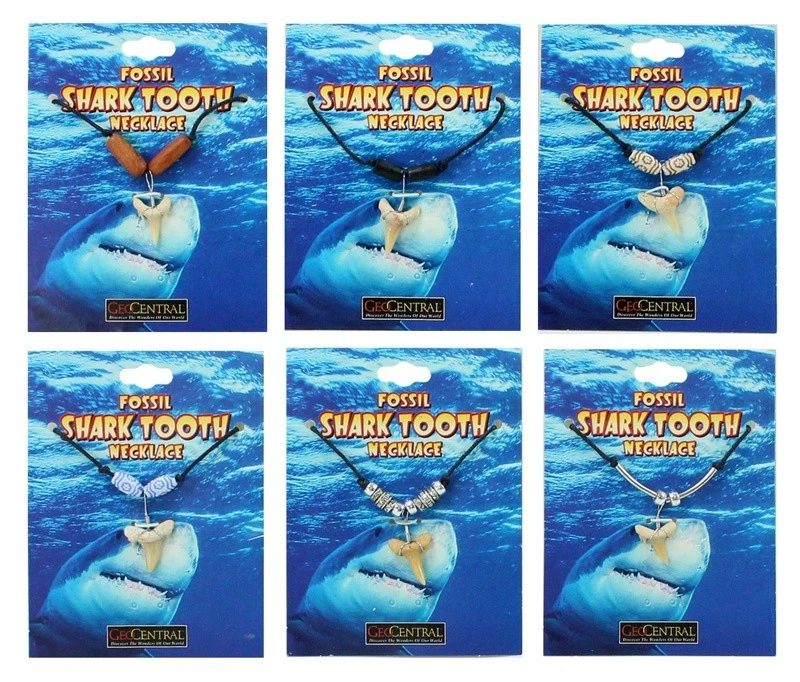 Halskette Haifischzahn (echt) Halsband Kette Hai Haifisch - sortiert .- NEU - Bild 1 von 1