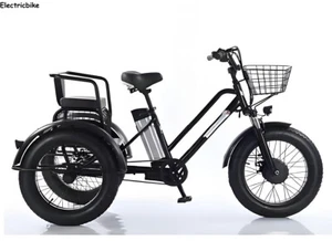 24" Electric Trike 48V Cargo Passenger Bicycle Heavy-Duty E-Trike with Rear Seat - Picture 1 of 13
