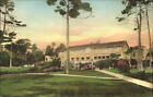 Del Monte Lodge ~ California ~ hand colored Albertype postcard