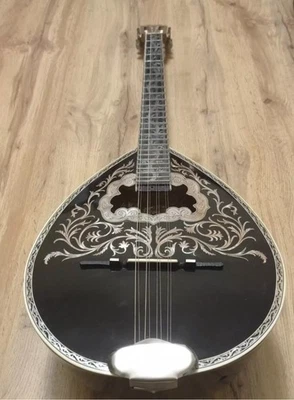 4 string greek bouzouki & Softcase & pickup & 300 backing track with pdf scores - Image 1 of 4