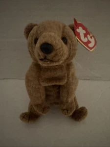Ty Beanie Baby - PECAN the Gold Bear (5.5 Inch) Stuffed Animal Toy - Picture 1 of 5