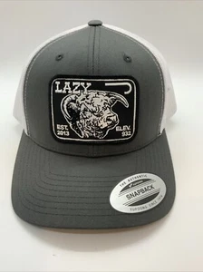 Gorra de béisbol Lazy J Ranch gris blanca malla parche de elevación sombrero SnapBack - Imagen 1 de 4