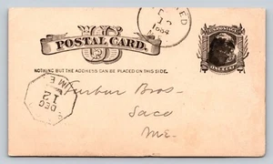 1881 UX7 Victorian Era US Postal Card 1c Furber Bros SACO Maine FANCY Cancel - Picture 1 of 3