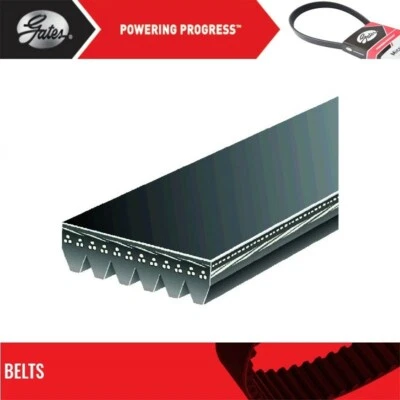 Puertas de cinturón Serpentine para Lexus SC400 V8-4,0 L 1992-1997 Foto 1 de 4