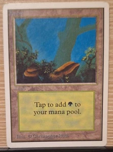 MtG Forest (A) - Unlimited Edition - Lightly Played - Land - - Bild 1 von 2