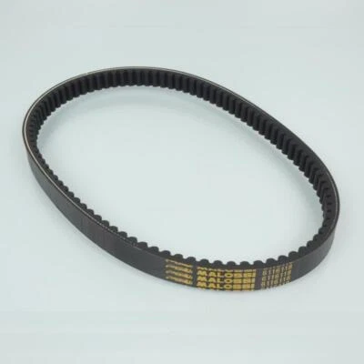 Courroie de transmission Malossi pour scooter Piaggio 125 Beverly 2009 à 2015 - Photo 1/3