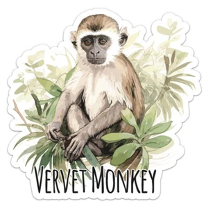 Aquarell Vervet Affe Tier Vinyl Aufkleber Autoaufkleber - Bild 1 von 5