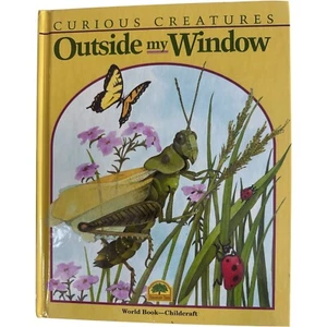 Outside My Window Curious creatures Hardcover - Picture 1 of 4