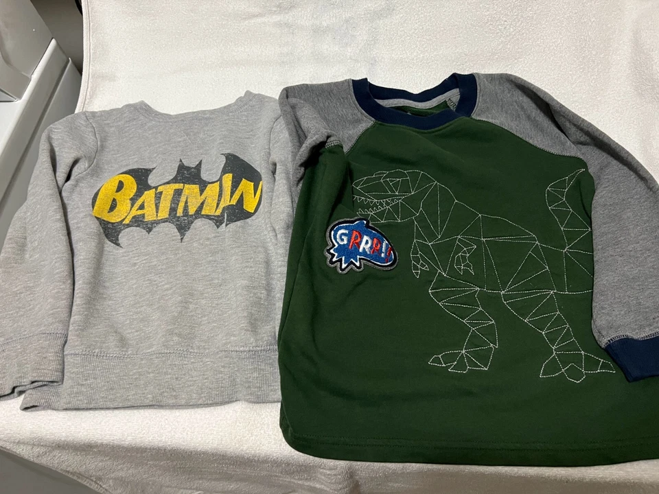 Lote de 2 Sudaderas Niño Talla 5 Batman y Dinosaurio Foto 1 de 1