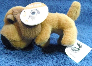 *2504* THE DOG'' – Dachshund with tag - Artlist Collection - plush – 8cm - rare - Foto 1 di 7