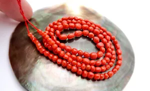 RARE STUNNING AAAA GENUINE MEDITERRANEAN BRIGHT LIPSTICK RED CORAL BEAD STRAND - Picture 1 of 9