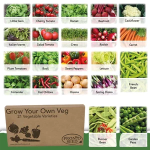 Vegetable Seeds UK Grow Your Own Indoor Outdoor Fresh Vegetables | 21 Varieties - Picture 1 of 18