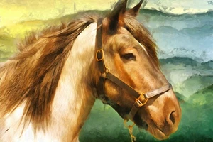 Horse Abstraction I de Vanessa Knight impresión giclee contemporánea envío gratis - Imagen 1 de 3