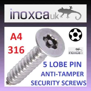 5-LOBE PIN TORX SCREWS SELF TAPPING FIVE POINT COUNTERSUNK STAINLESS STEEL A4 - Picture 1 of 6