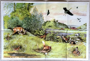 Vintage Kindererziehung Poster 1967 Hubert Pepper "Wildes Leben im Frühling" - Bild 1 von 1