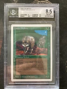 *** UNLIMITED Timber Wolves *** BGS 8.5 NM-Mint! - Vintage MtG Magic - Picture 1 of 2