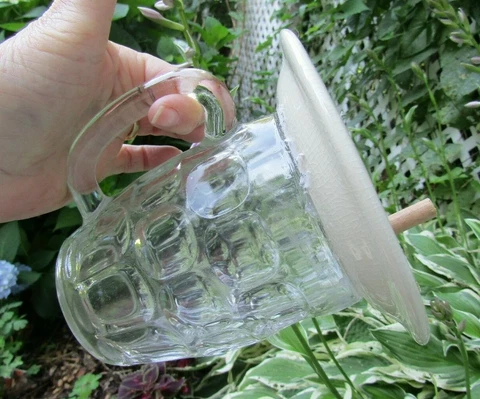 Glass mug with ceramic saucer top hand crafted birdhouse mug tropical palmtrees Cover