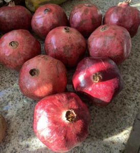Pomegranate Seeds 25 Organic NonGMO Homegrown Edible Fruit Tree Garden Grenadine - Picture 1 of 10