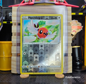 Fletchling 150/195 Reverse Holo Silver Tempest Pokémon TCG Sword Shield Common