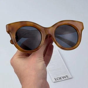 Loewe Women Sunglasses Shiny Havana Blue Cat Eye LW40126I CURVY 53V BRAND NEW - Picture 1 of 9