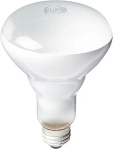 PHILIPS 408662 Soft White 65-Watt Br30 Indoor Flood Light Bulb, 4 Count (Pack of - Picture 1 of 3